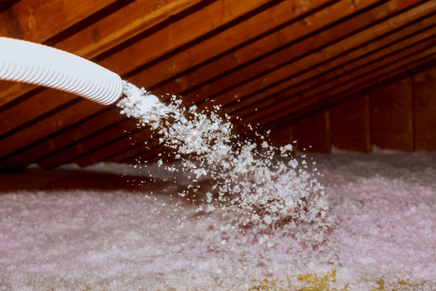 Best Insulation Maintenance and Repair in New Braunfels, TX