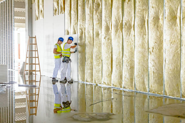 Types of Insulation We Offer in TX